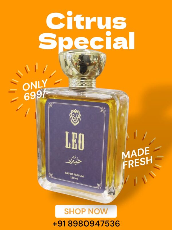 Leo - Image 2